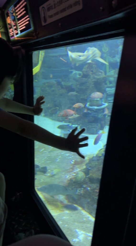 サブマリン・アドベンチャーの潜水艦の窓から本物の魚を見ているところ