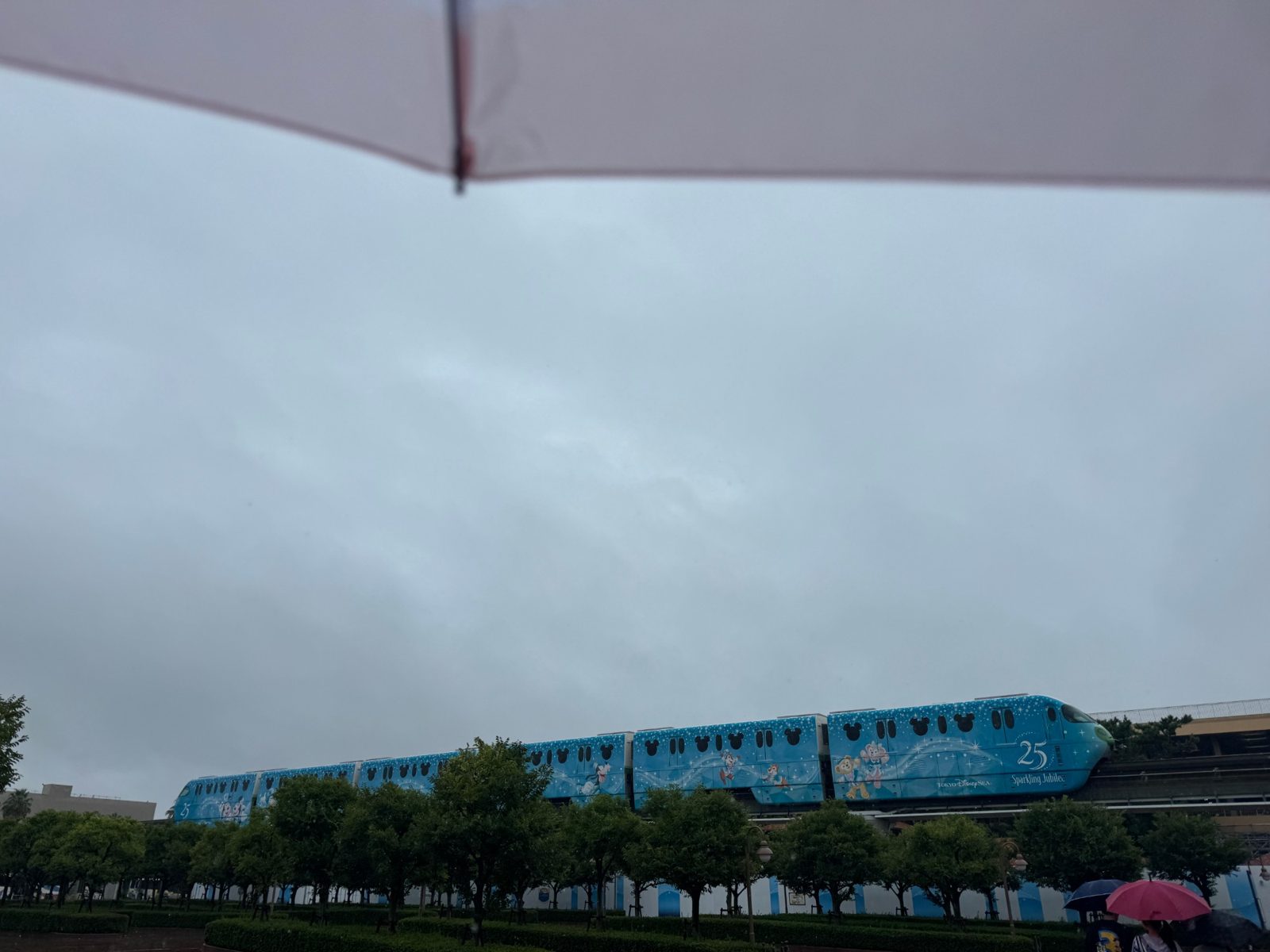 雨の日のディズニーリゾートライン（25周年ラッピング）